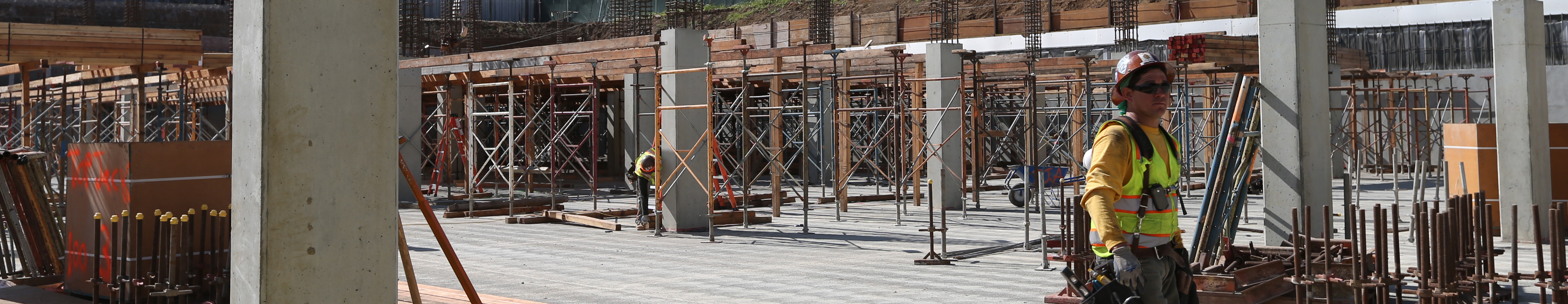 Development Services Banner