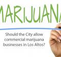 Community Survey: Marijuana businesses