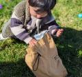 Hunting for eggs