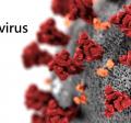 COVID-19 (coronavirus) Information