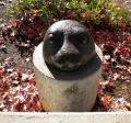 Seal Head by Anne Wienholt