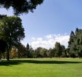 big, flat grass area surrounded by trees