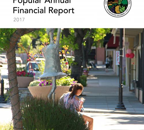 Popular Annual Financial Report cover