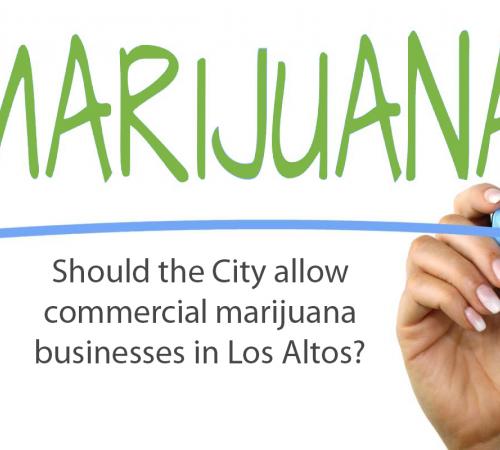 Community Survey: Marijuana businesses