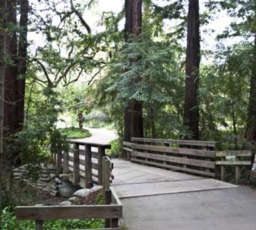 Bridge with rails Redwood Grove Nature Preserve