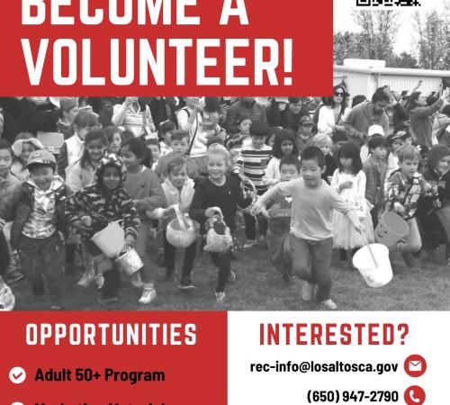 Become a Volunteer 