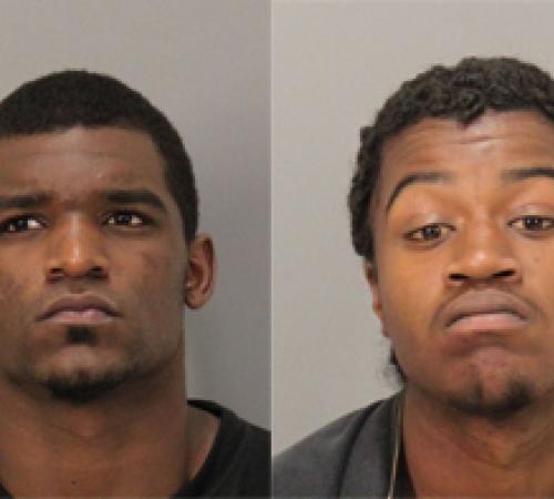 Burglary suspects