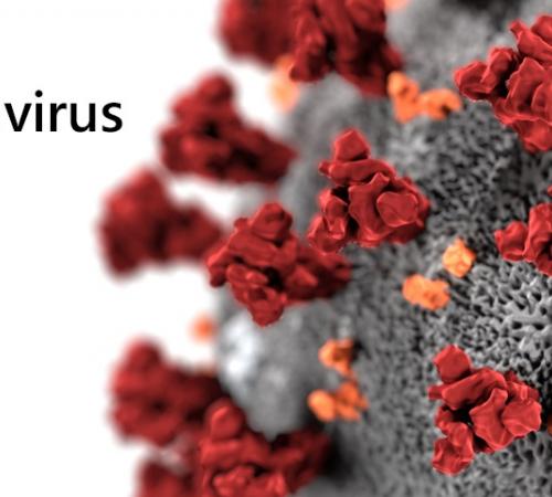 COVID-19 (coronavirus) Information
