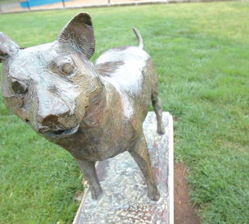 Australian Cattle Dog by Anne Wienholt