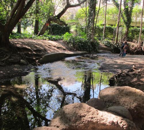 Adobe Creek