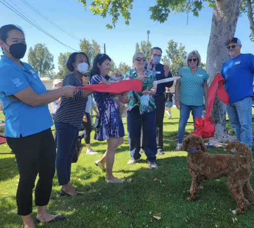 Ribbon Cuttings