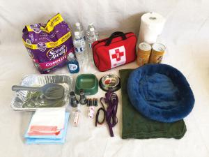 Cat Emergency Kit