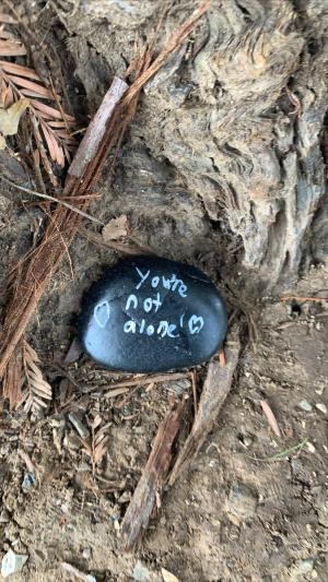 Kindness Rocks