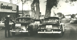 Patrol cars parked in the middle of Main Street under a large oak tree.  Circa 1953