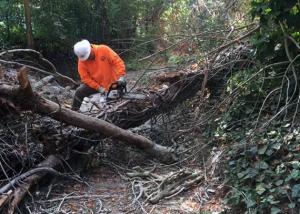 Public Works Storm Prep