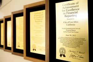Excellence in Financial Reporting Award