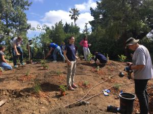 Woodland Library demonstration garden