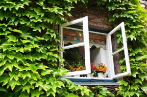 Residential Burglary Prevention