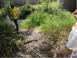 Annual Creek Clean-up