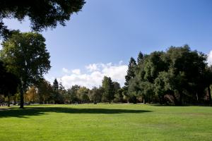City Maintained Tree Inventory