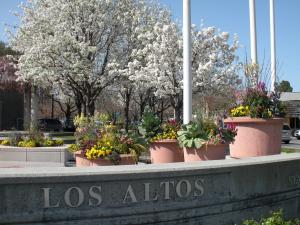 Community Plaza