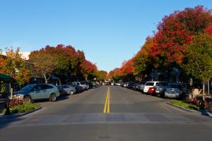 Downtown Visioning