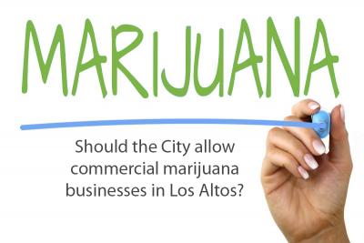 Community Survey: Marijuana businesses