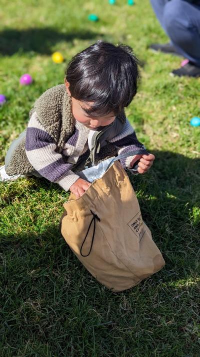 Hunting for eggs