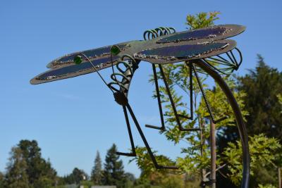 Dragonfly by Tammy Bickel