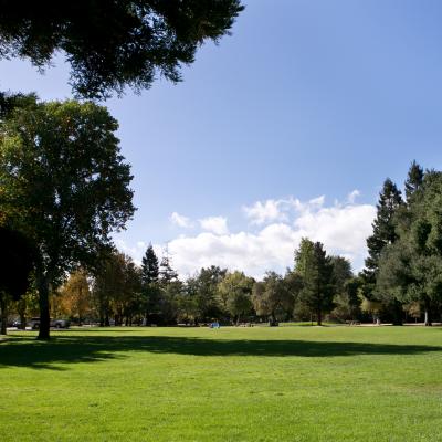 big, flat grass area surrounded by trees