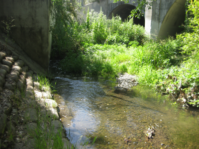 storm water