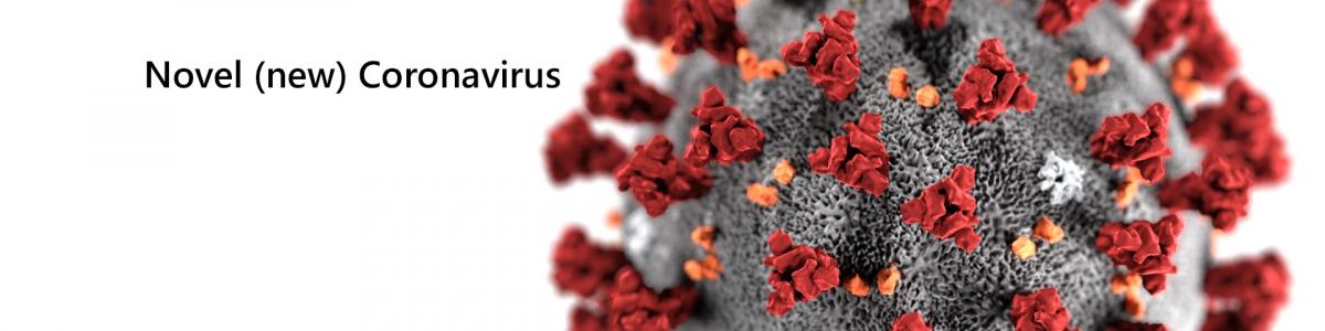 COVID-19 (coronavirus) Information