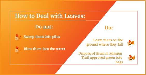 Leaf Clean Up City Of Los Altos California