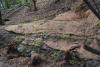 Bio-burritos used to stabalize creekbed