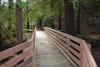 New Boardwalk installation