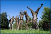 Los Altos Public Arts