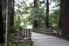 Bridge with rails Redwood Grove Nature Preserve